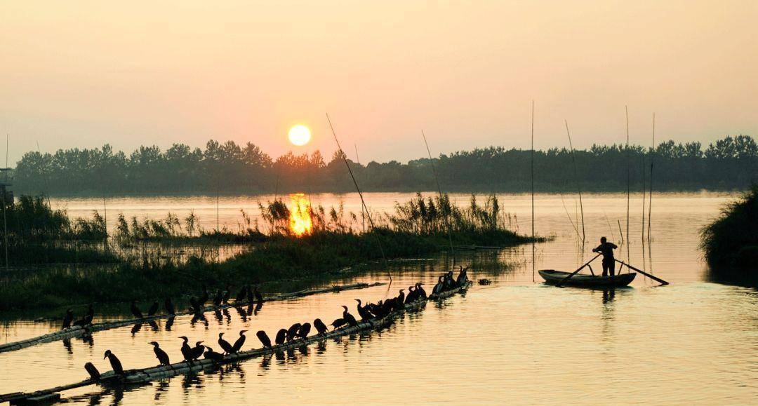 生活最好的状态,是静水流深_太湖_芦苇青_鄱阳湖
