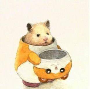 金丝熊太可爱了,主人就把它画下来了!_生活_宠物_样子