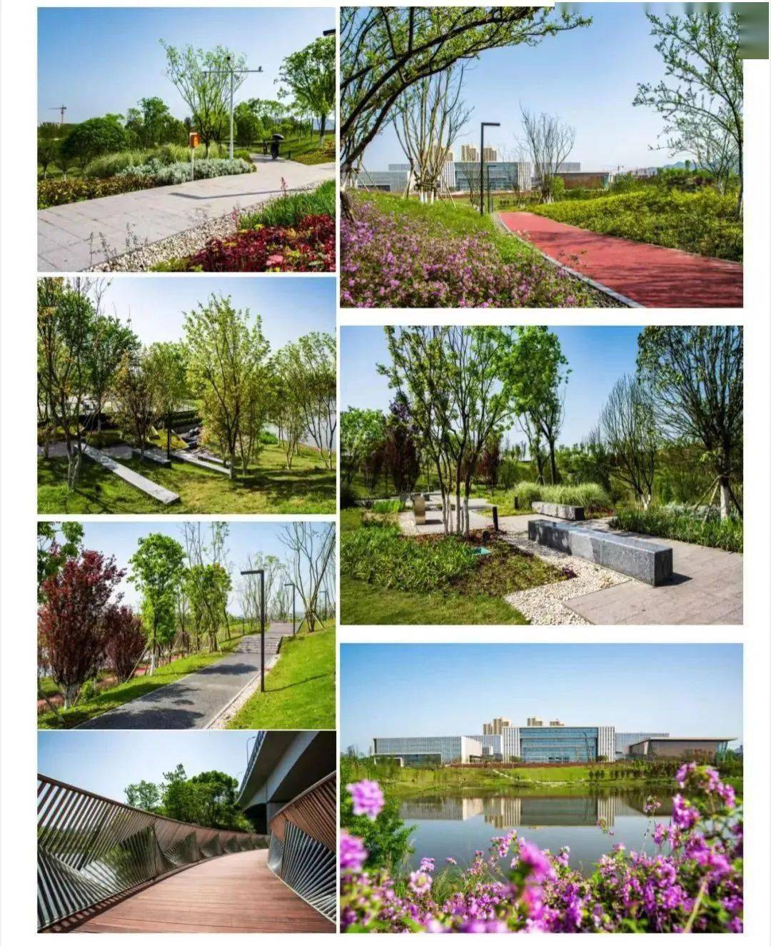 五云湖公园夺得国际园林风景大奖!_沙坪坝区_生态_设计的