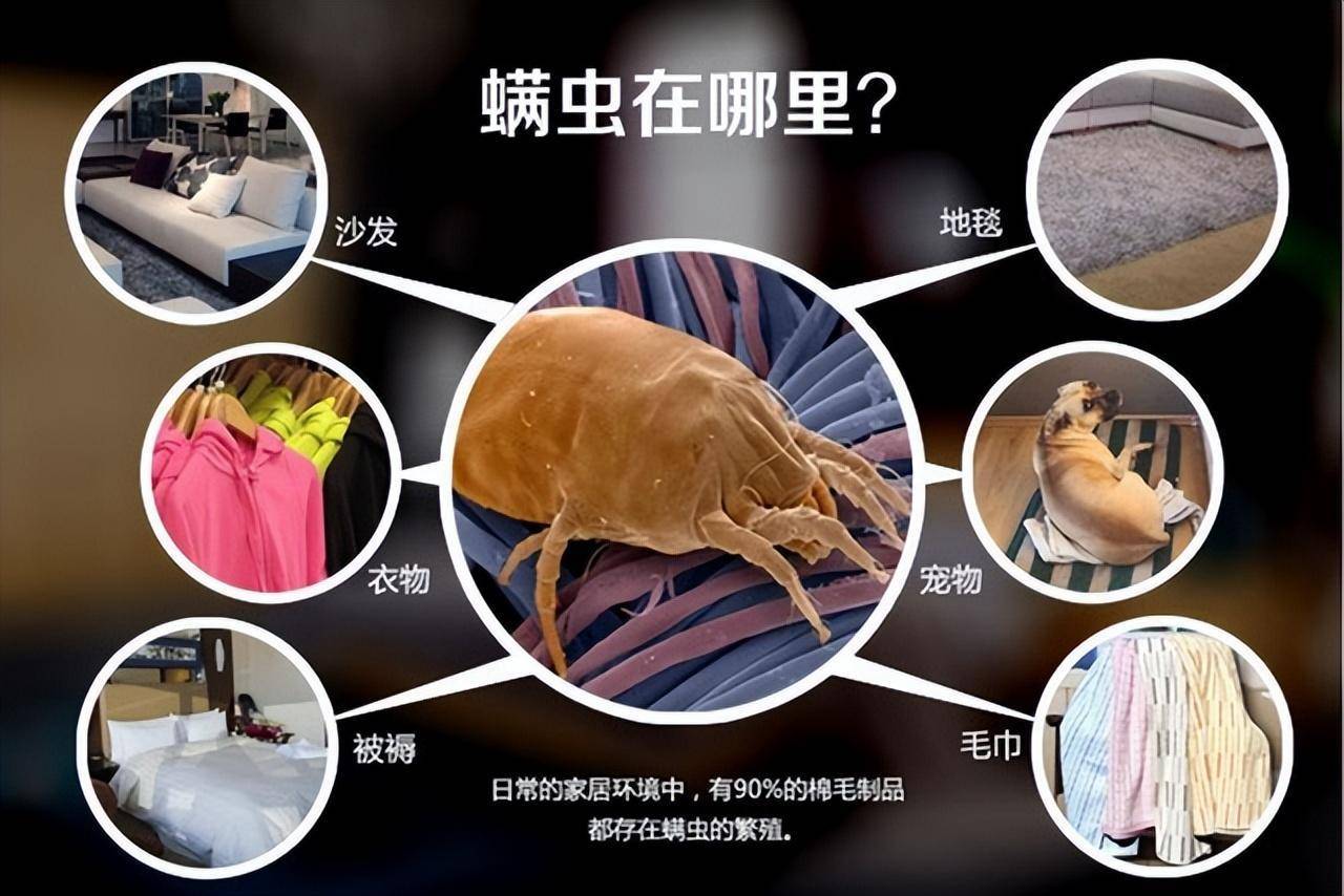 科学正确除螨