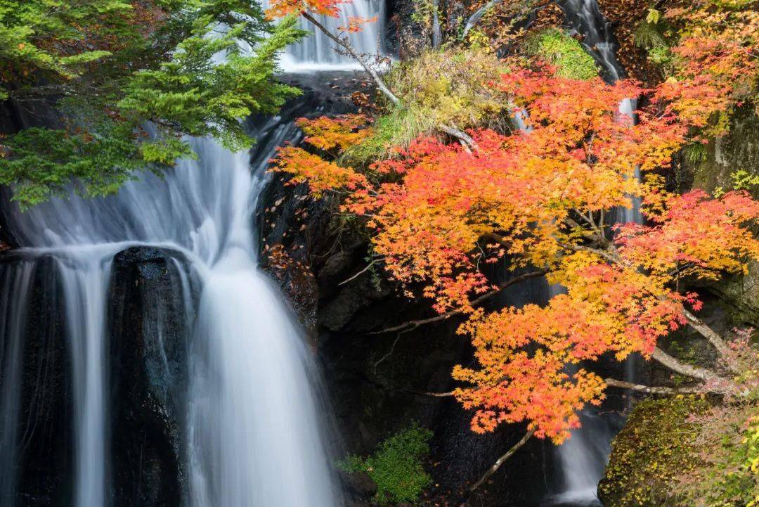 每日背诗 杳杳寒山道_赏析_叠字_冷寂