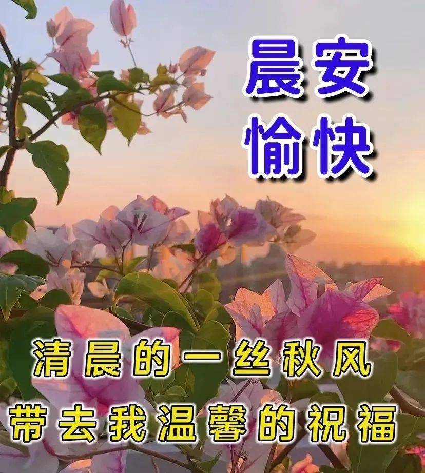 9月3日星期六清晨早上好問候祝福動態表情圖片 週六最新早安問候祝福