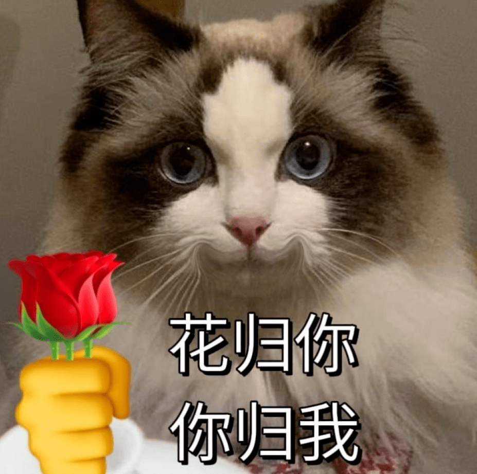 服务_项目_管理