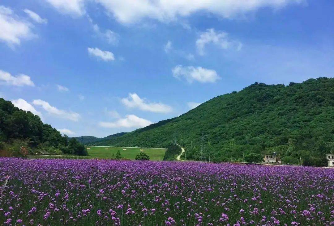 旅遊_安徽省_南陵縣