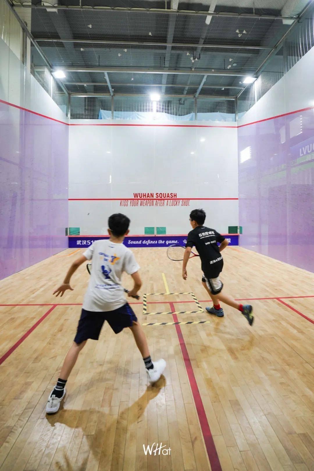 只听过没见过的壁球,终于被我玩到_运动_球拍_网球