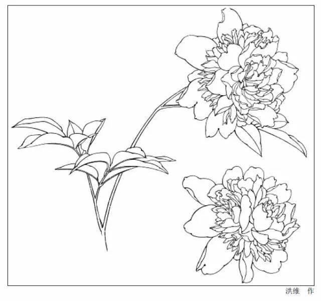 开花_海棠_国画