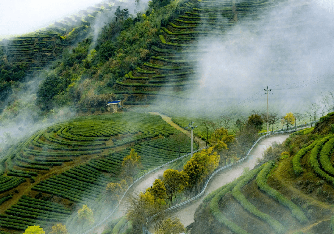 清晨的云雾缭绕,日暮的夕阳斜照,一日之内,四时之中,景致各不相同