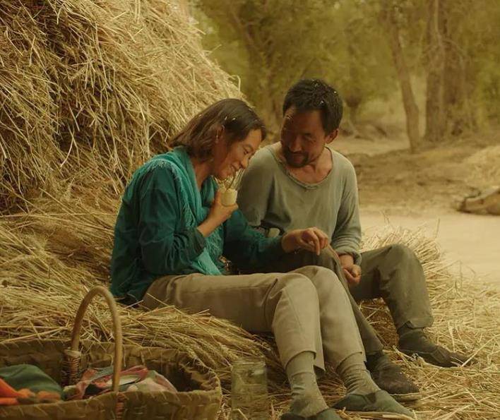 海清主演电影票房破40亿！与《隐入尘烟》的相互成就！_隐入尘烟票房破9000万_西北_武仁林