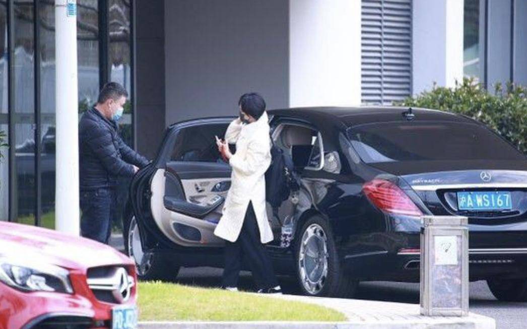 孙俪出门反差大,司机开300万豪车送机,她却穿长袍还拎个菜篮子_造型