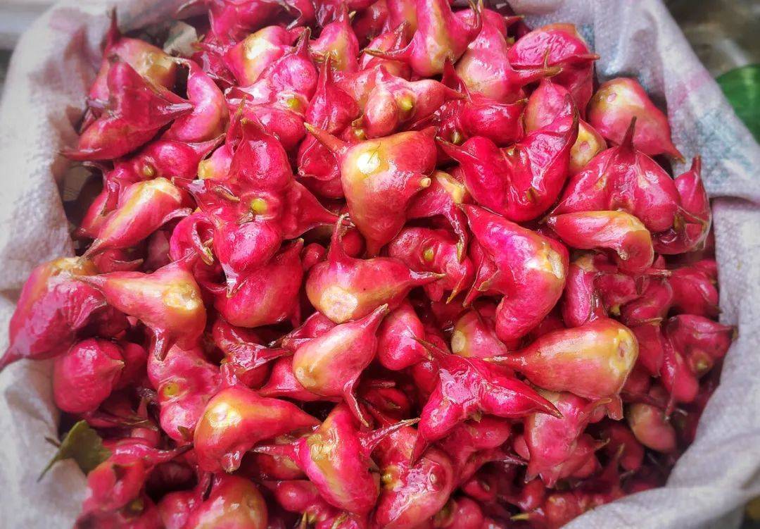 送走蒸腾暑气,这两样"心头好"等你尝鲜啦~_鸡头米_苏州_江南秋