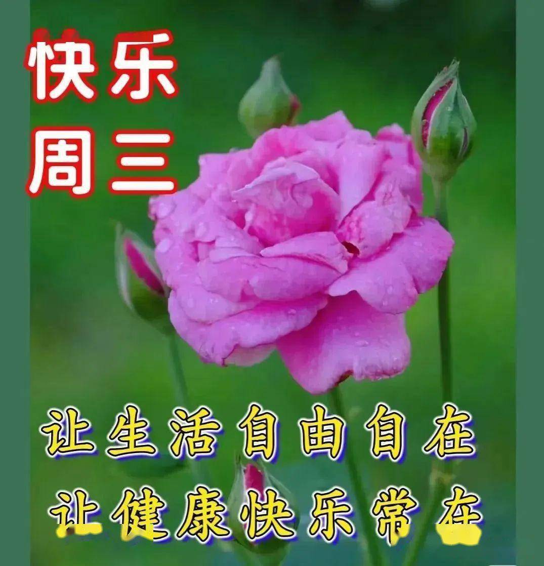 9月7日周三最新早上好表情大全,天天开心,幸福安康_生活_朋友_风景