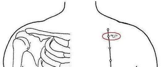气户穴: 气喘,胸胁支满,胸痛_养生_穴位_资源