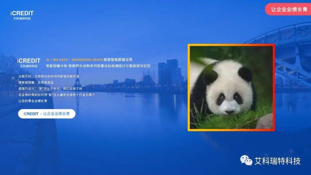 智能图像分析-智能服饰软呢帽图像目标检测统计计数检测与识别-艾科瑞特科技
