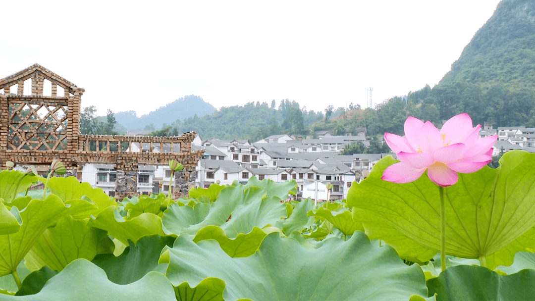 【围绕"四新"主攻"四化"】普定:水井村获评国家aaa级旅游景区_收入