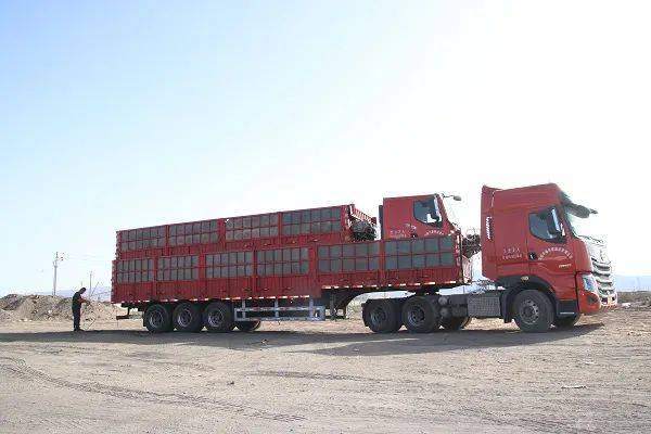 新疆子母卡车运输图片