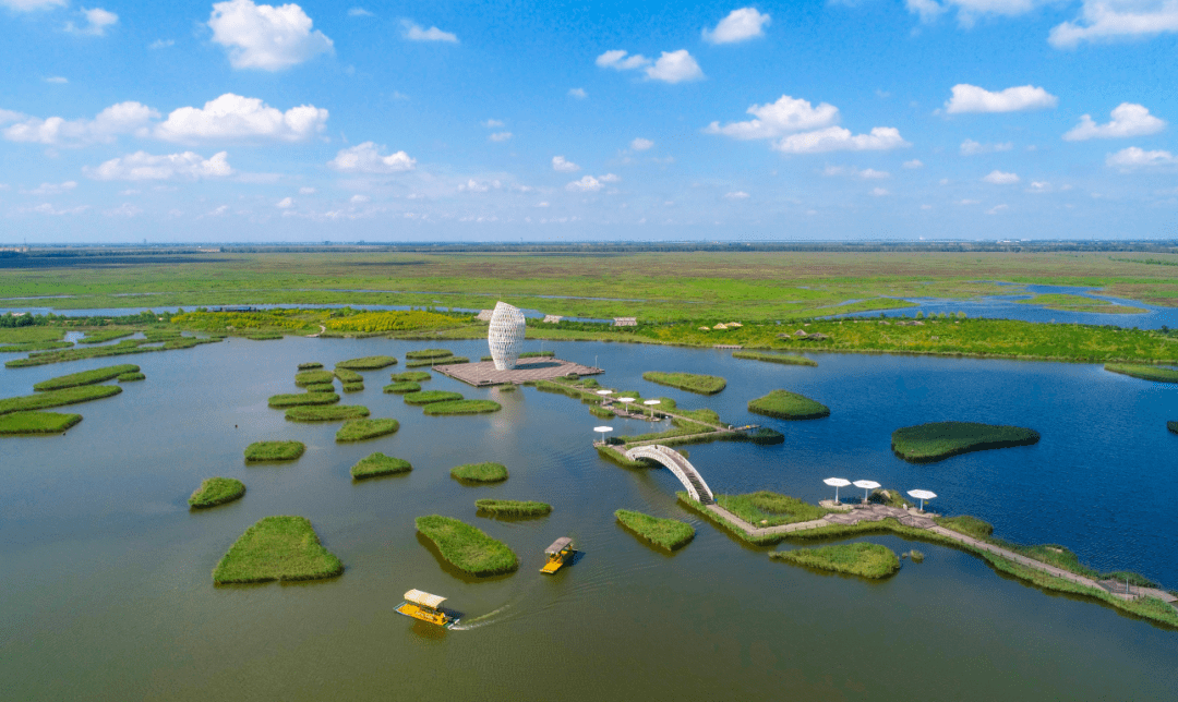 巨淀湖湿地公园图片