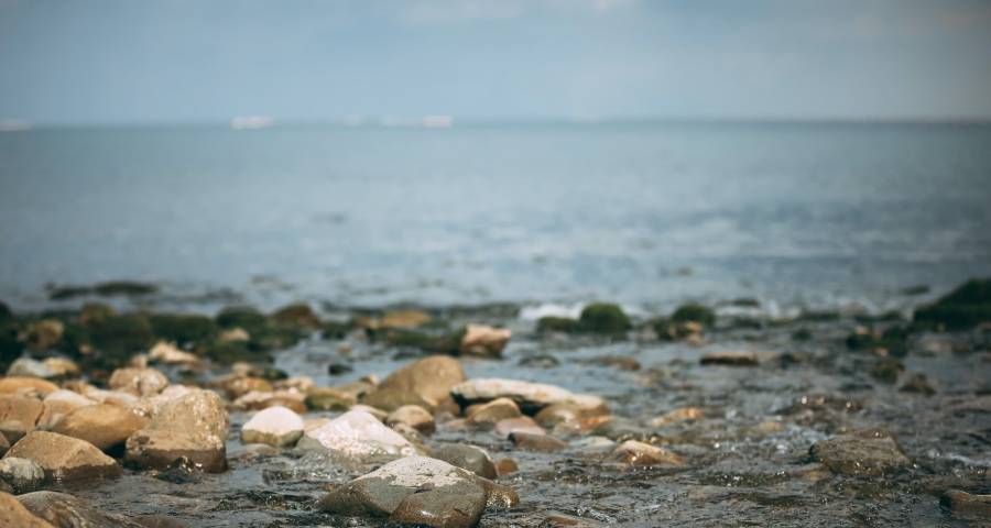 今年家电“超长促销季”厂商需要三点准备-家电圈官网