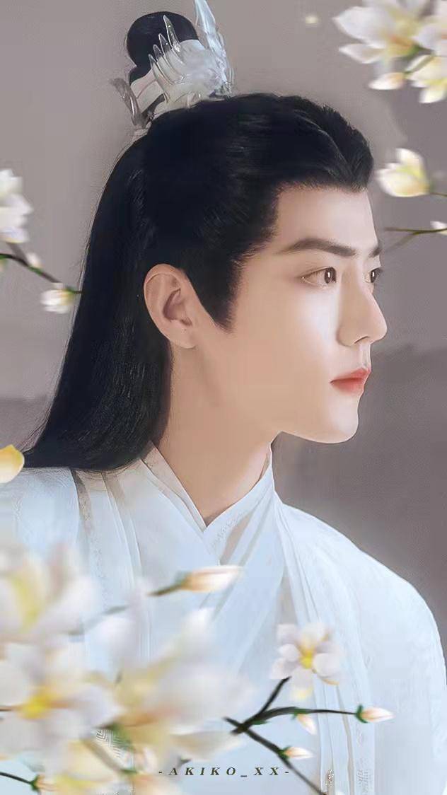 《天官赐福》肖战应是最好的谢怜,可惜他已经是魏无羡了_花城_作品