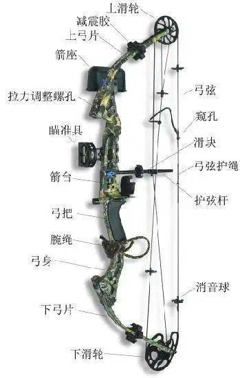 狩猎类型复合弓的弓把推弓点一般设置在上下弓片的侧向垂直线连接点