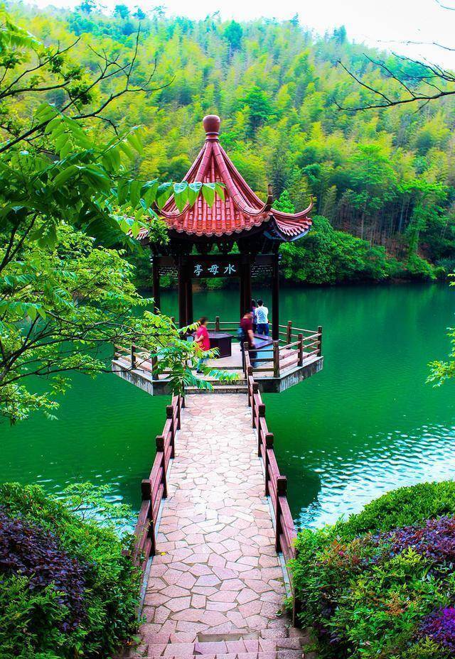 宜兴一处被遗忘的景点,身处三省之界,每一口呼吸都是"深氧"_竹林_风景