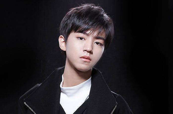 近来猛涨的十强95后男明星,王一博蔡徐坤许凯领跑_王俊凯_吴磊_词条