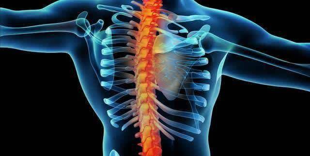 严重骨质疏松患者会因为骨骼变形的原因受到压迫,出现腰背变坨脊柱