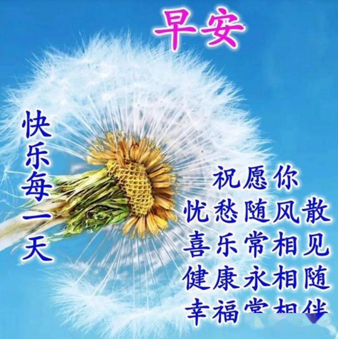 最新早上好祝福动态表情图片大全