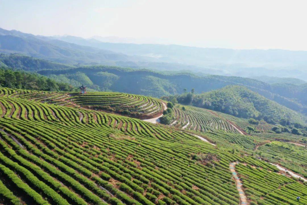 桂平西山全景图图片