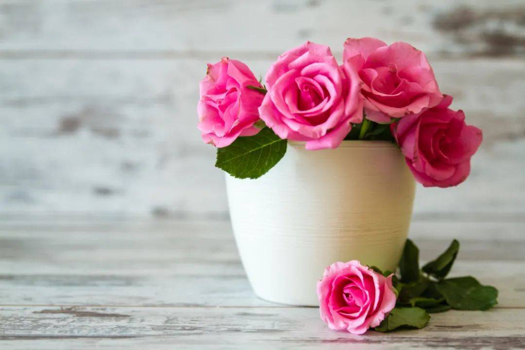 因为人活着,就需要一份积极向上的乐观和感恩的好心态来对待所有,只要