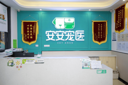 生机与活力|安安宠医荣获"iqf2022品质节"杰出品牌口碑奖_服务_宠物