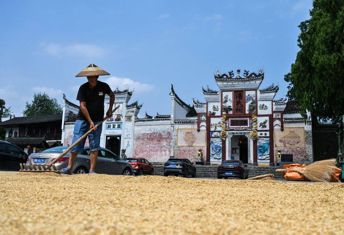 绘潇湘怀化篇丨新城对岸的荆坪古村,民宿老板娘搭起十米花廊_潘迎
