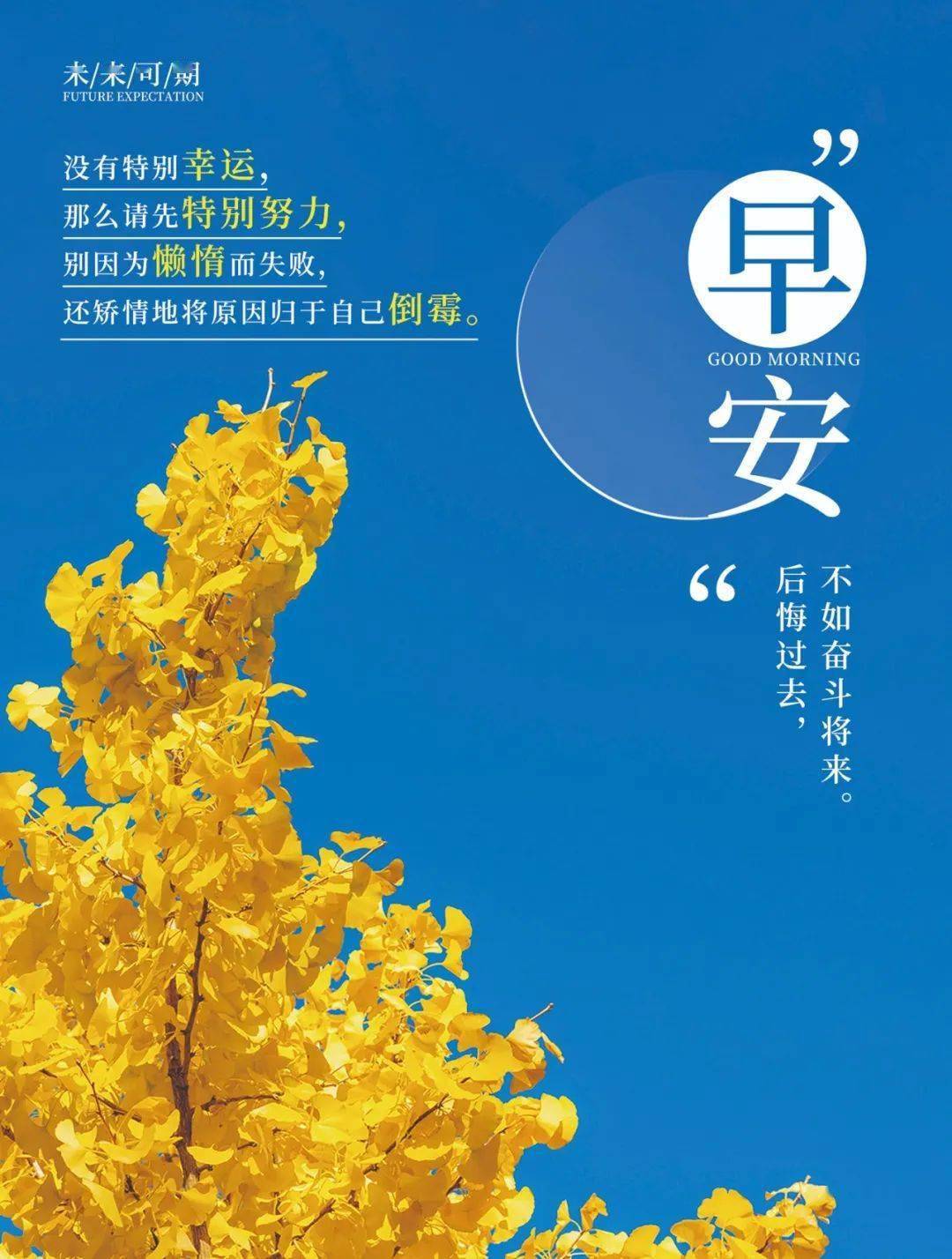 正能量的句子經典語句適合發朋友圈( 正能量的句子經典語句適合發朋友