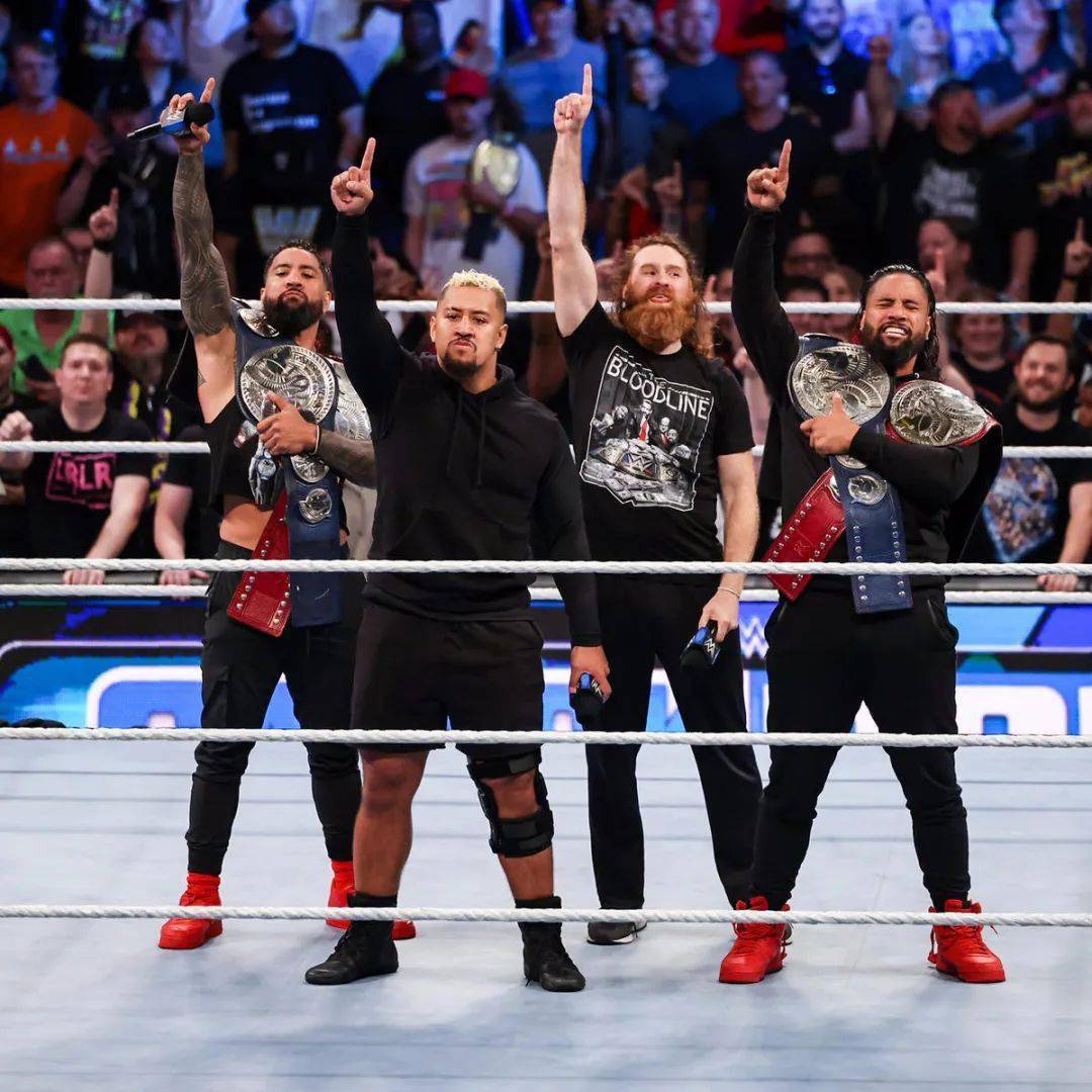 道夫备受老将赞赏,流浪狗退出wwe的细节_齐格勒_科特安格_超级明星