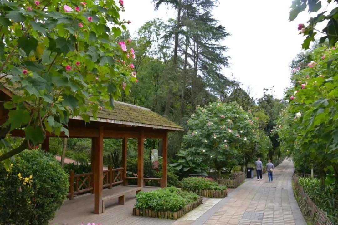 成都市植物园定于9月17日恢复开园