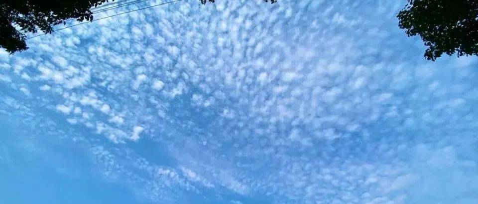 江西维持晴朗少雨天气格局 部分地区高温再现_全省_气象_预计未来