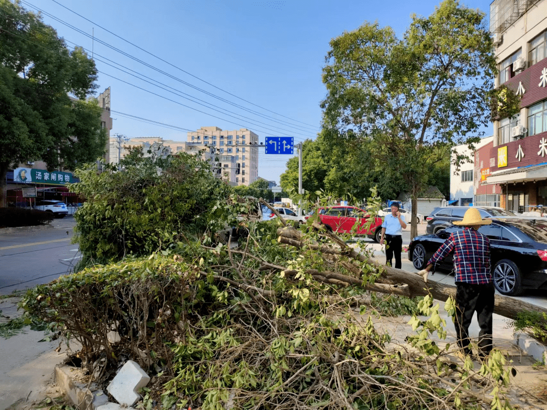 因為有你們,餘姚各地加速復甦_進行_陽明街道_工作