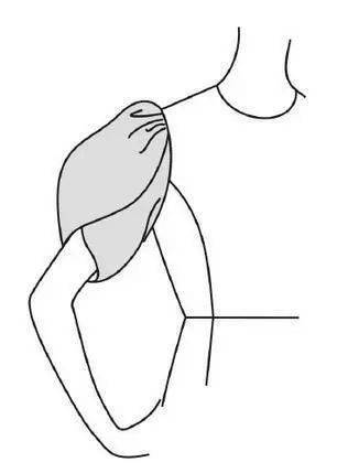 15种常见袖型的结构制图及注意事项_衣片_合体_泡泡