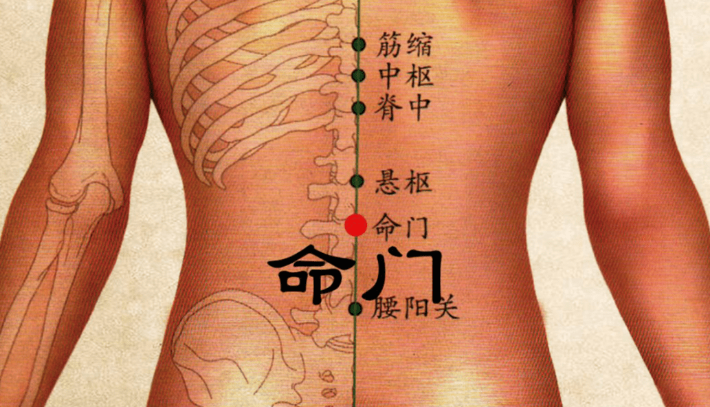 腰部的准确位置图图片