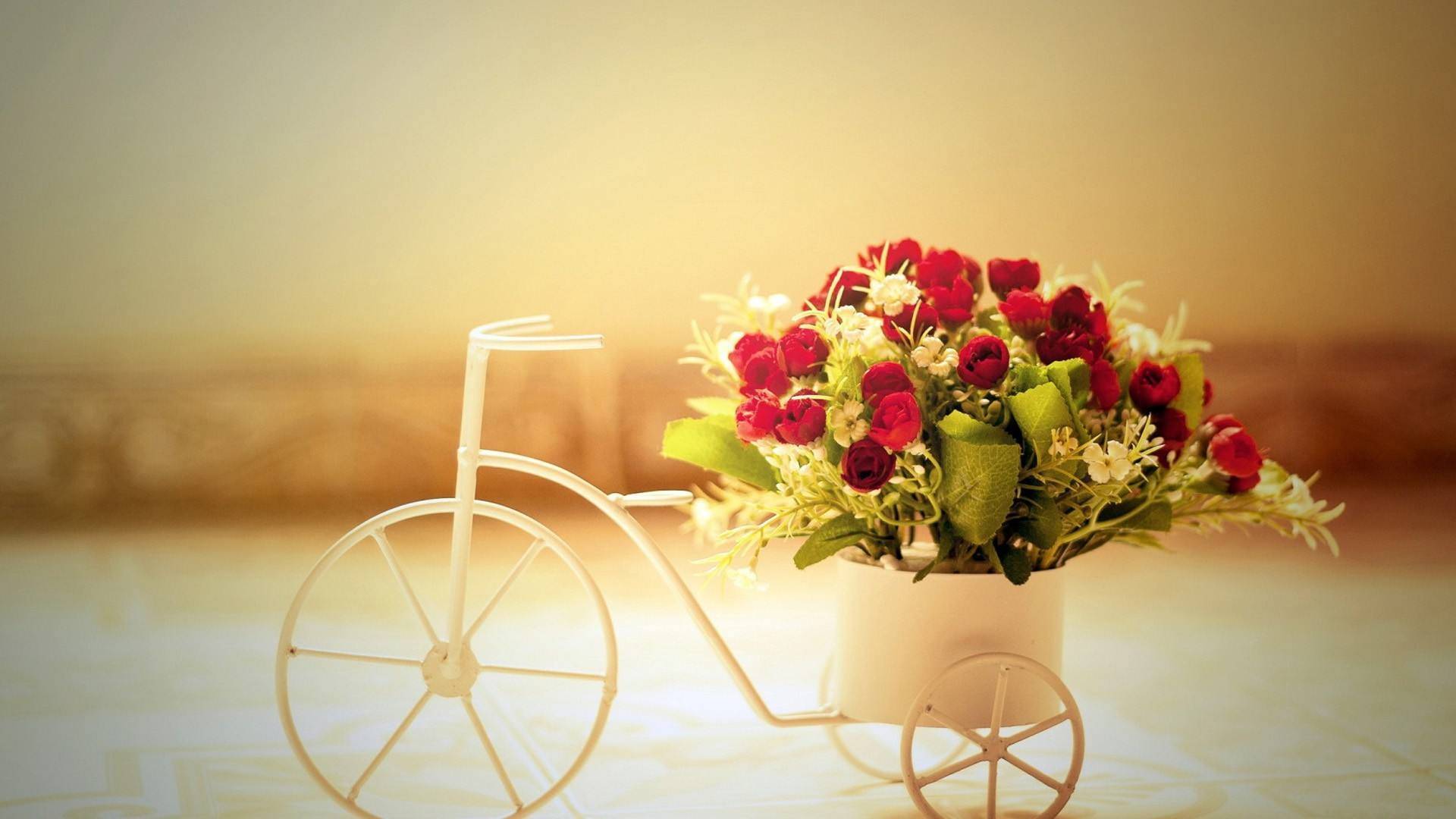 一些东西 既然忘不掉 那么就残存着 一个人 幻想 时候