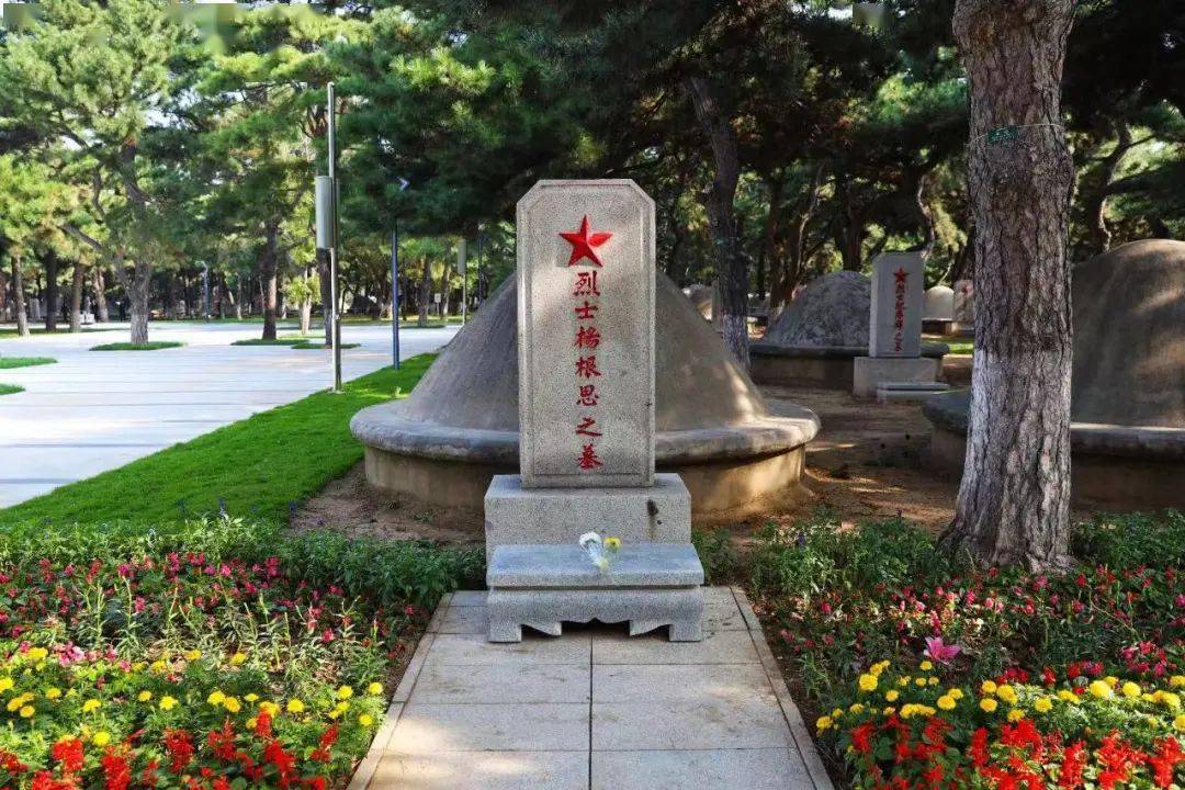 "生活越好,我就越想你们"