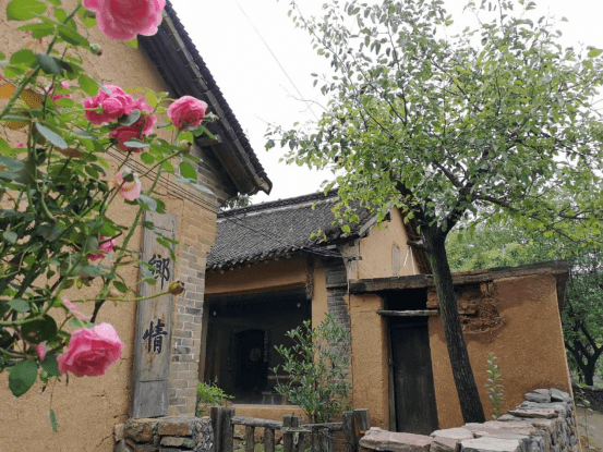 嵩县黄庄乡上榜!_旅游_三合村_发展