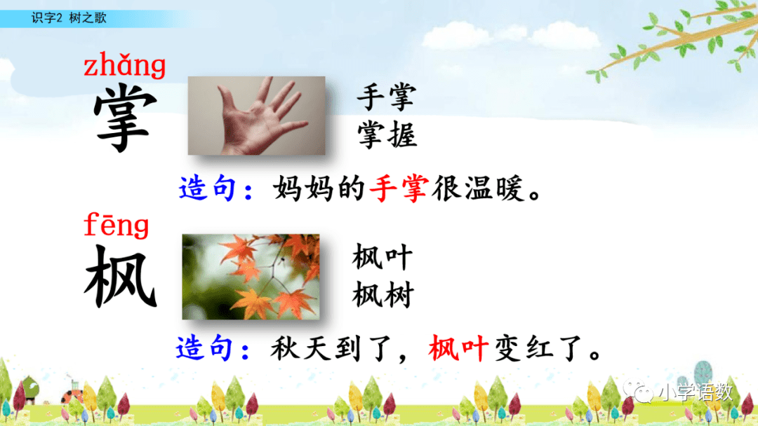 二年级语文上册识字2《树之歌》图文讲解_ng_树木_梧桐