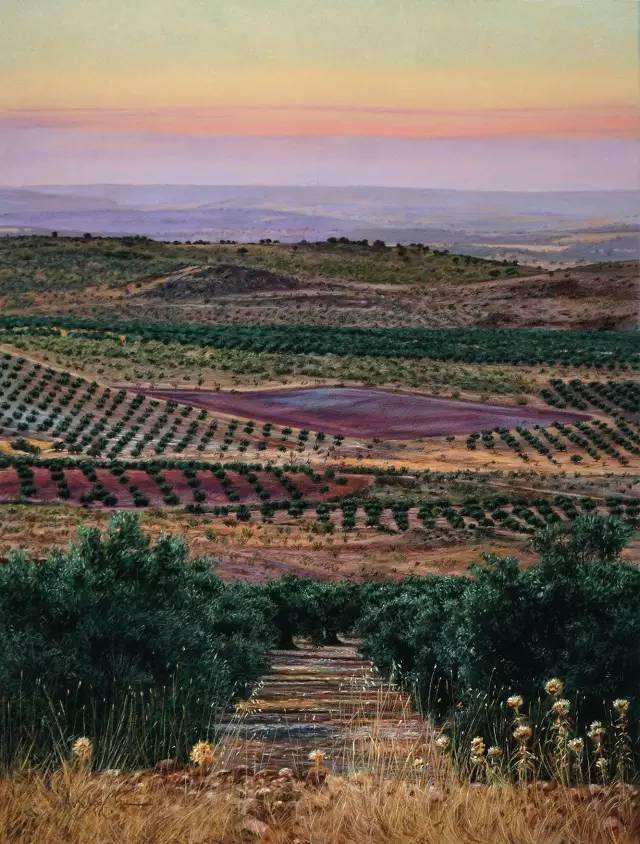 派画家之一是一位自学成才的画家1958年生于安达卢西亚美国粉画协会