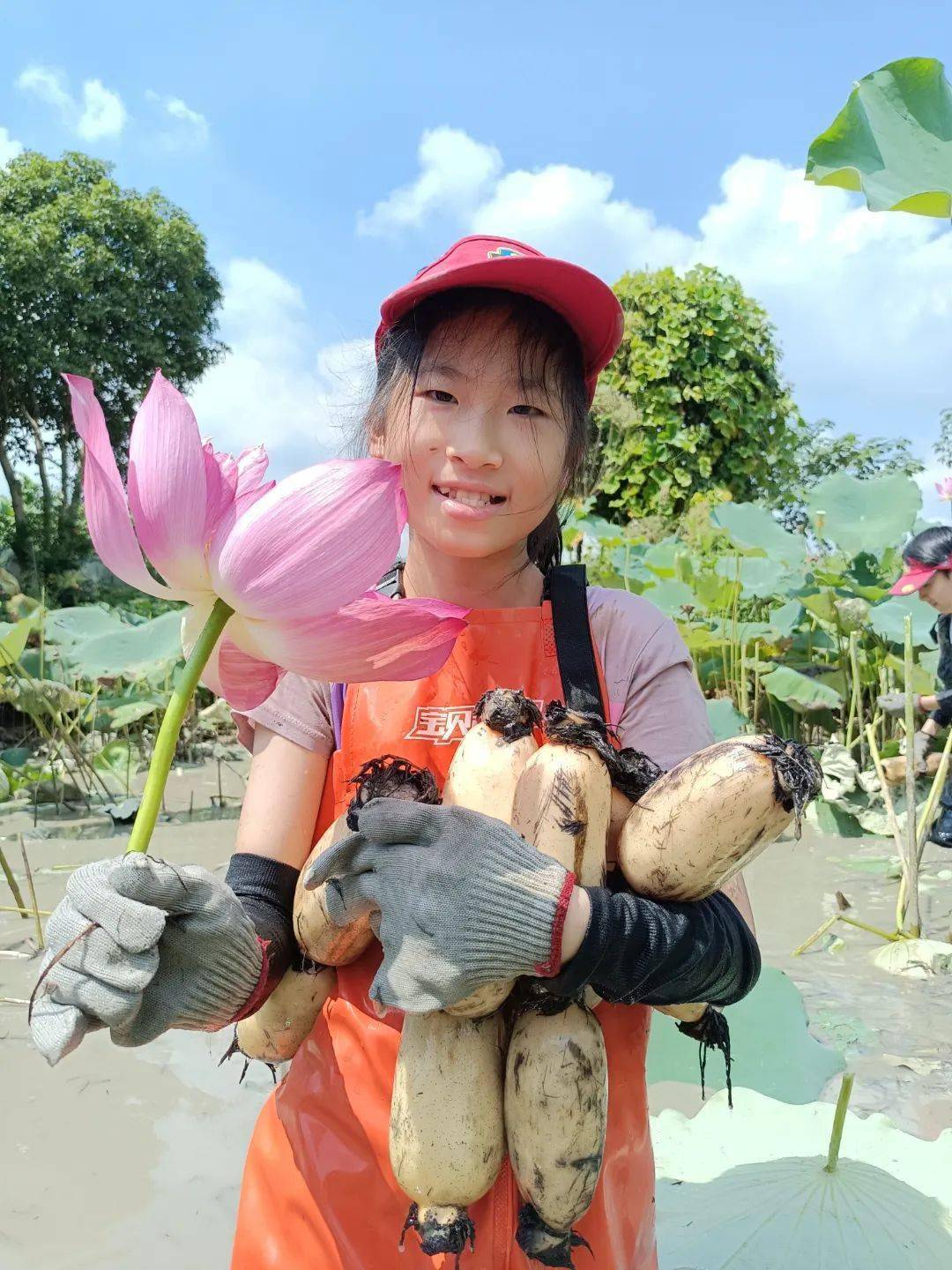 哇哦,挖藕!_大湖_活动_插图