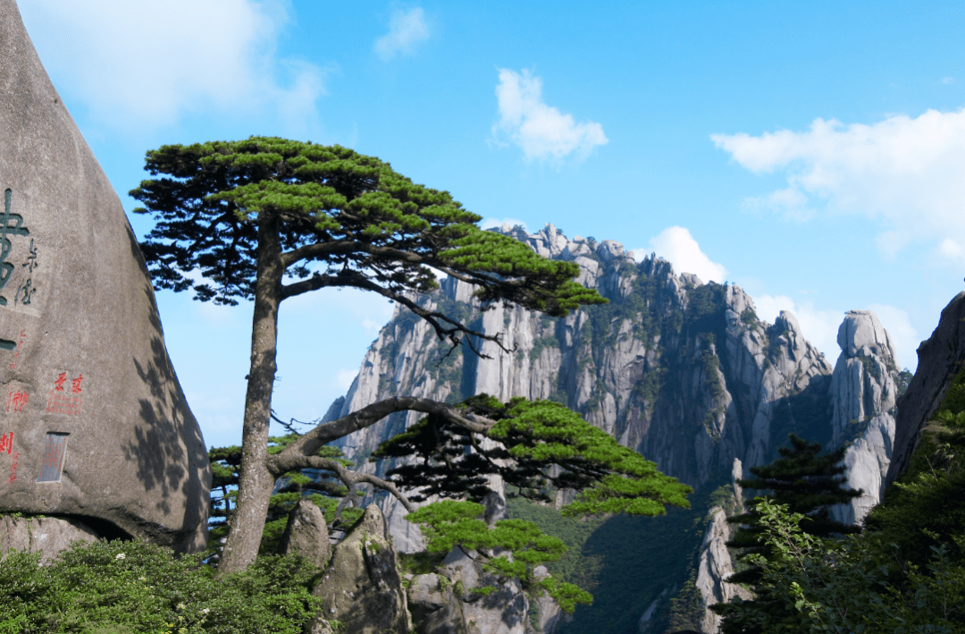 安徽人游安徽 | 黄山风景区先游后付!快冲!_服务_数字_旅游