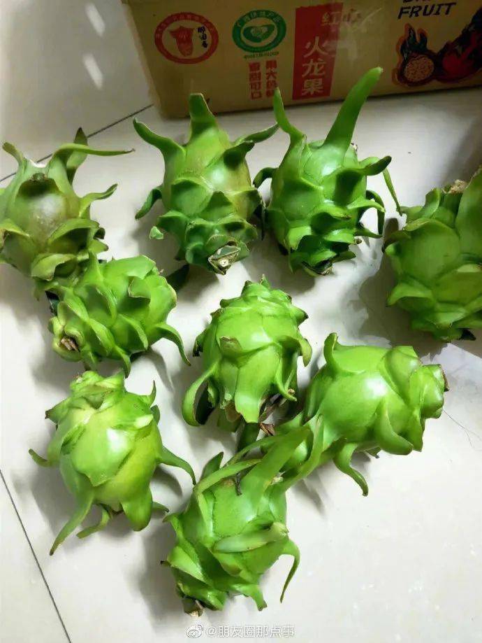 还是头次见绿色火龙果,这也太绿了_火龙果_绿色
