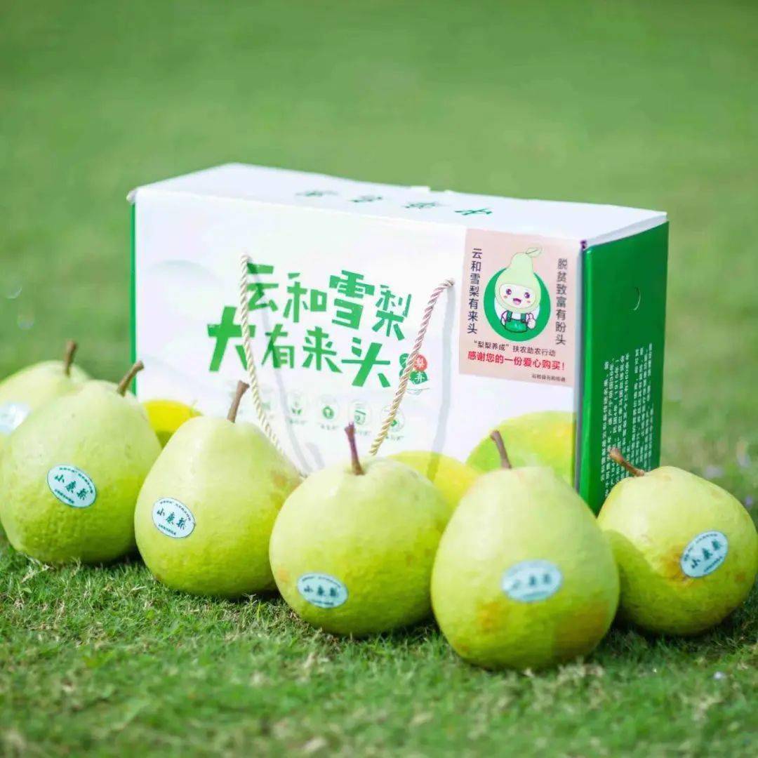 青耘中国丨"青春助农"云和雪梨直播专场来袭!_农产品_果核_硕果