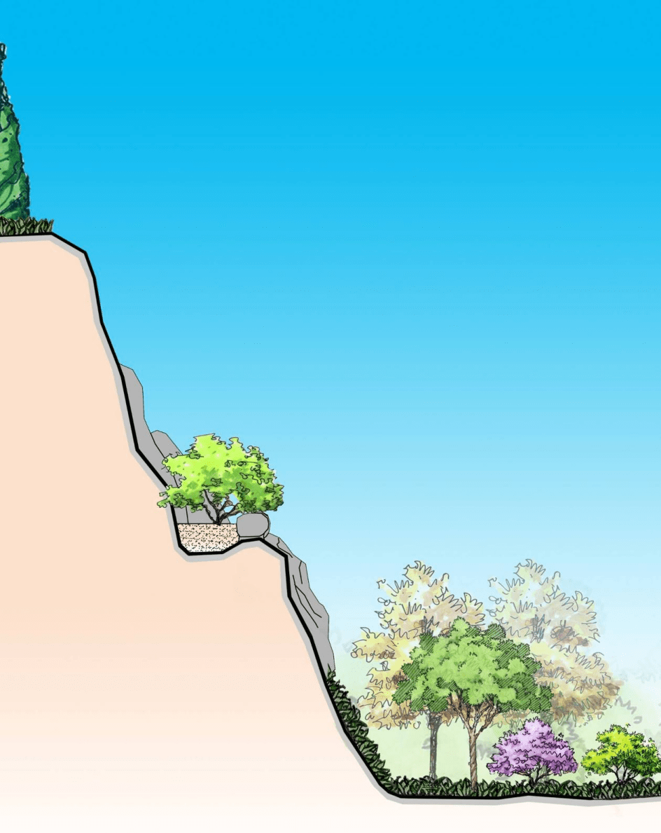 【矿山生态修复技术】坡面植被恢复技术