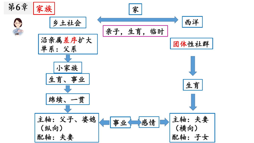 乡土中国男女思维导图图片