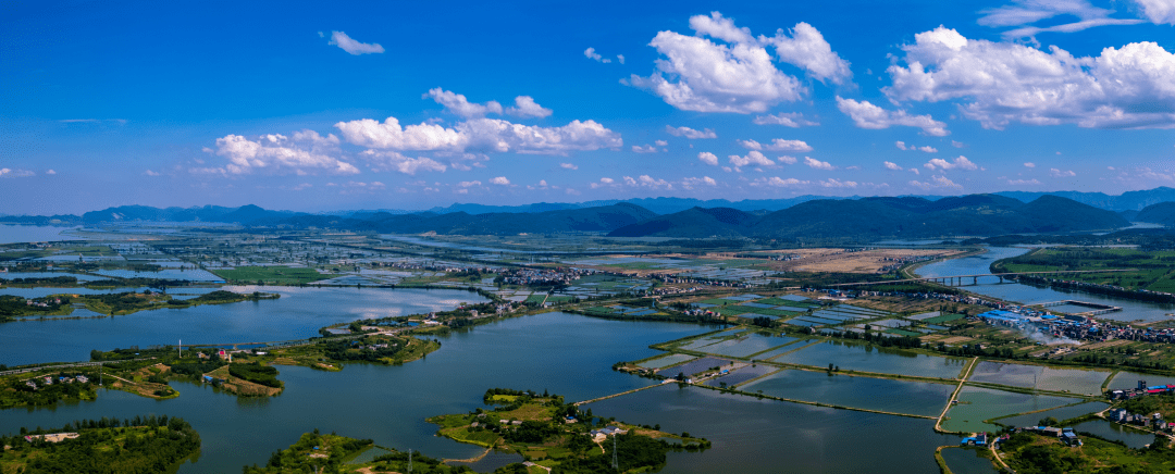 图看莲花湖_阳新_公园_湿地